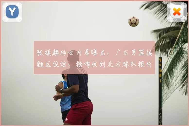 张镇麟转会内幕曝光,广东男篮接触区俊炫,杨鸣收到北方球队报价
