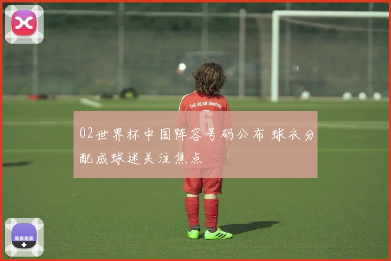 02世界杯中国阵容号码公布 球衣分配成球迷关注焦点