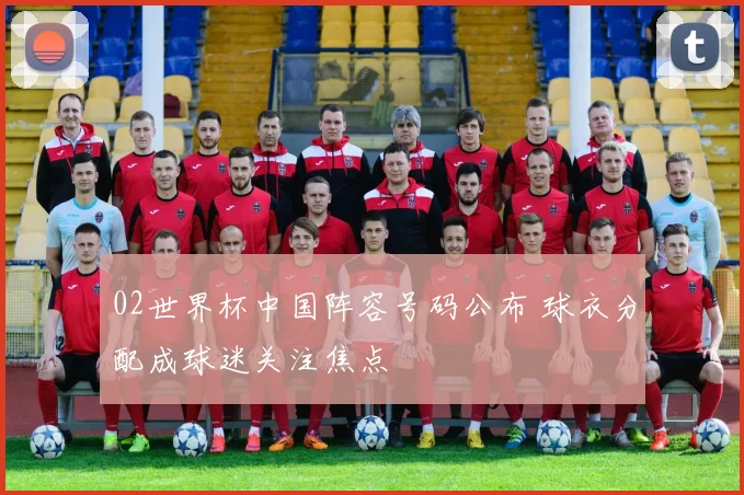 02世界杯中国阵容号码公布 球衣分配成球迷关注焦点